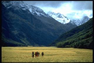 Ahuriri valley - Ohau